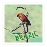 Eagle in Brazil (Print Only) thumbnail