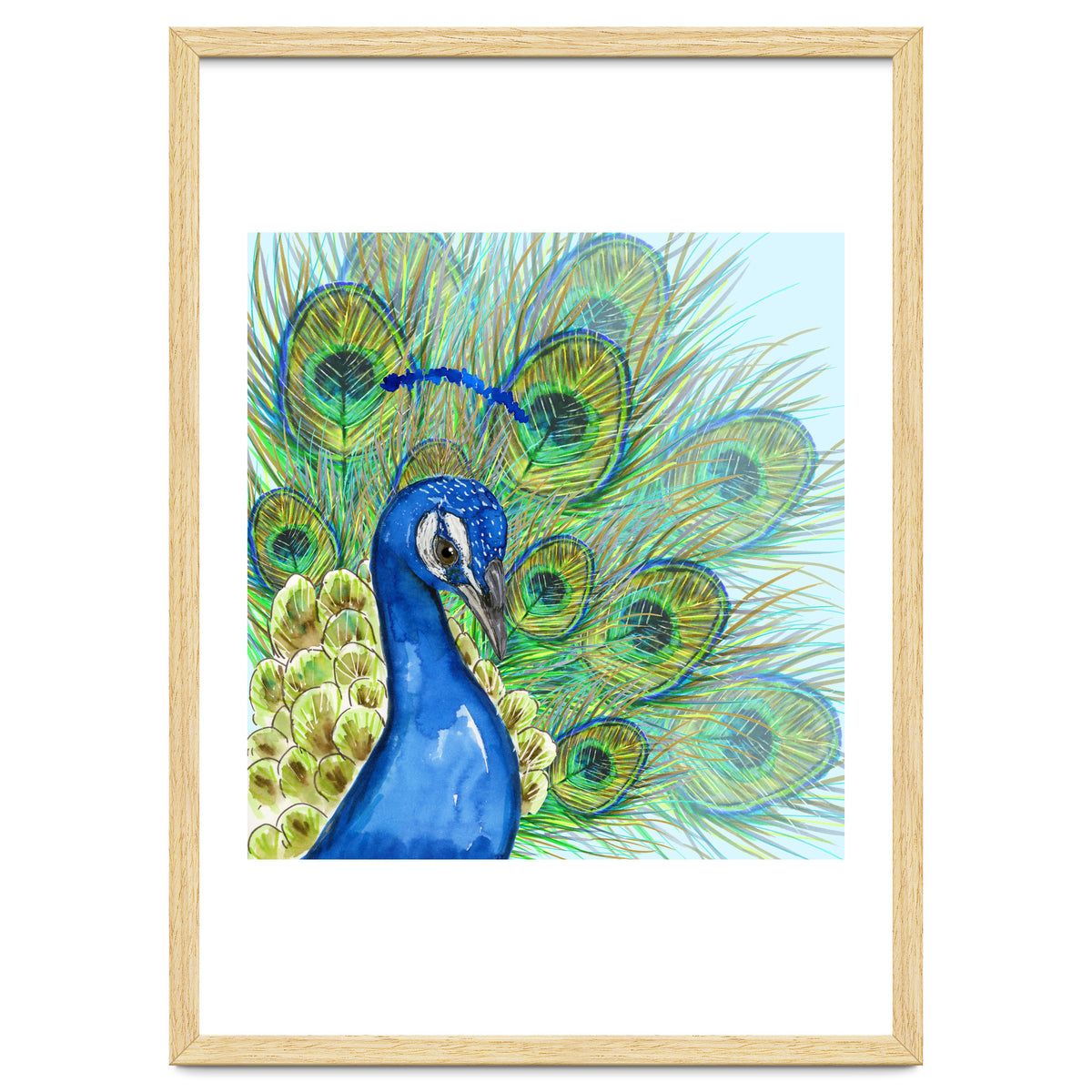 Peacock portrait