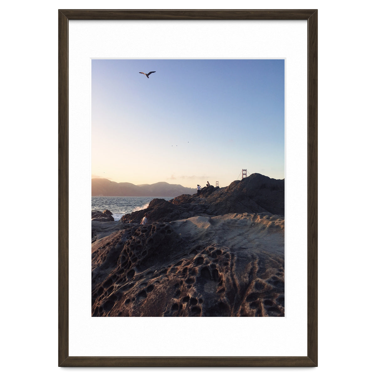 Golden Gate Bridge V