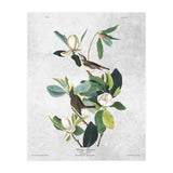 fiori e uccelli (Print Only) thumbnail