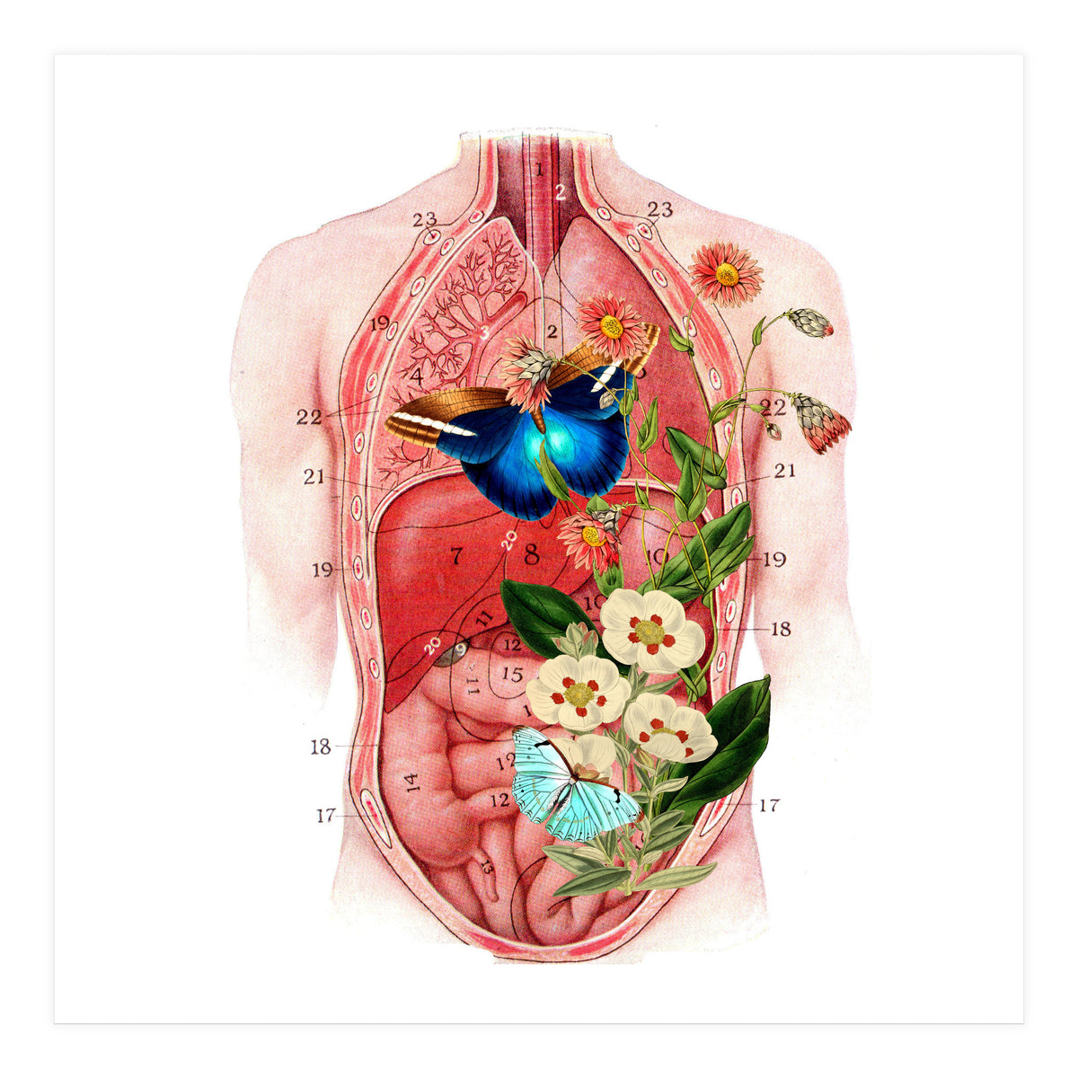 Butterflys In The Belly Makes Flower Grows (Print Only)