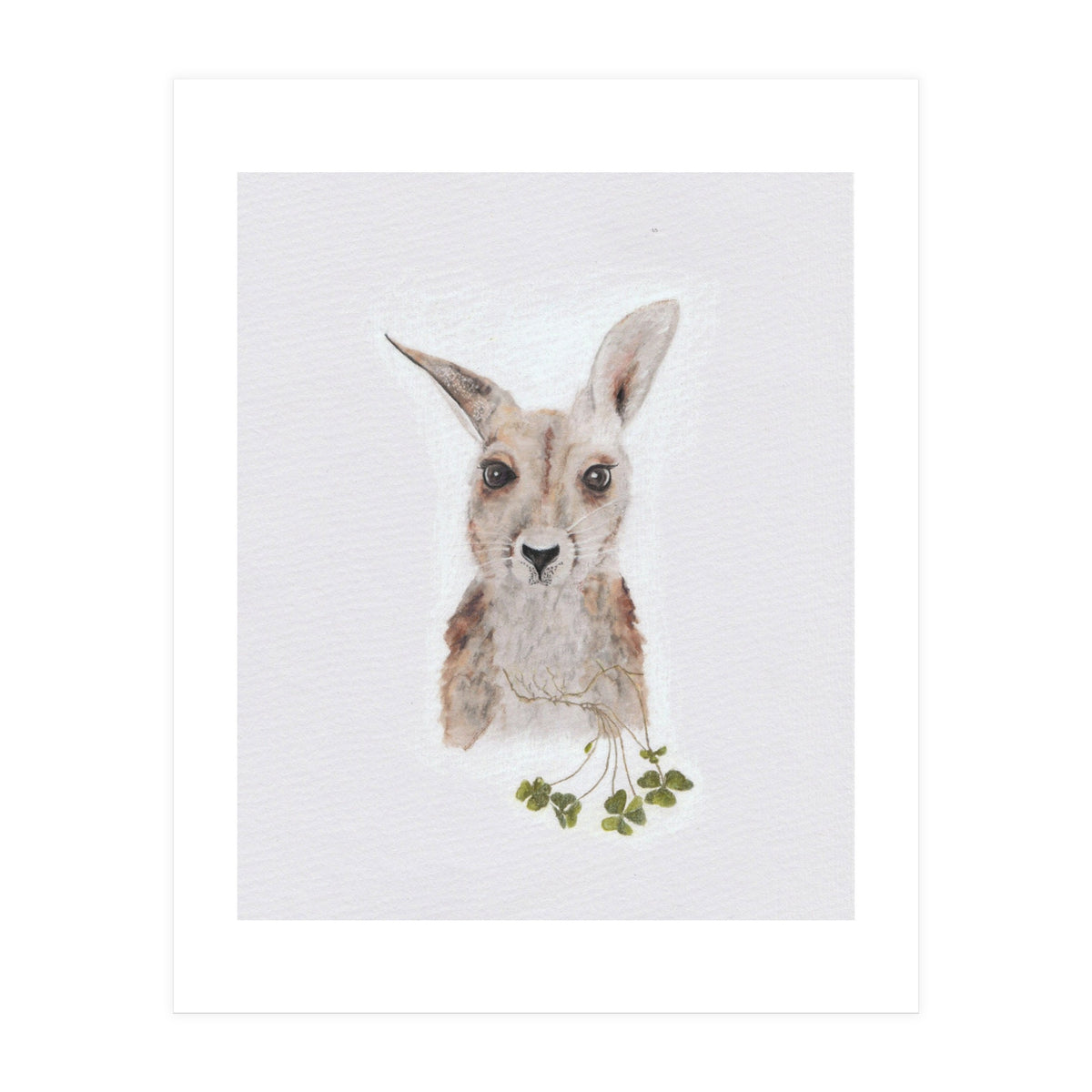 Wallaby - Australian Animal Series (Print Only)
