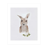 Wallaby - Australian Animal Series (Print Only)