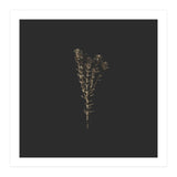 Moody Golden Botanicals - Square (Print Only) thumbnail