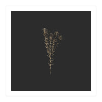 Moody Golden Botanicals - Square (Print Only)