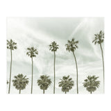 CALIFORNIA Vintage Palm Trees  (Print Only) thumbnail