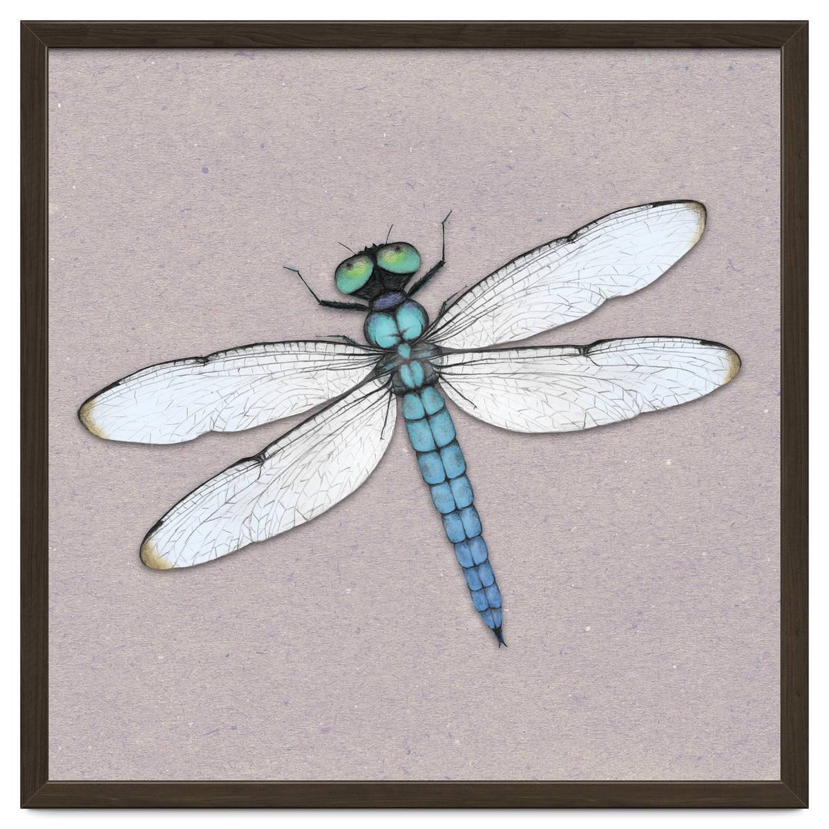 Blue dragonfly