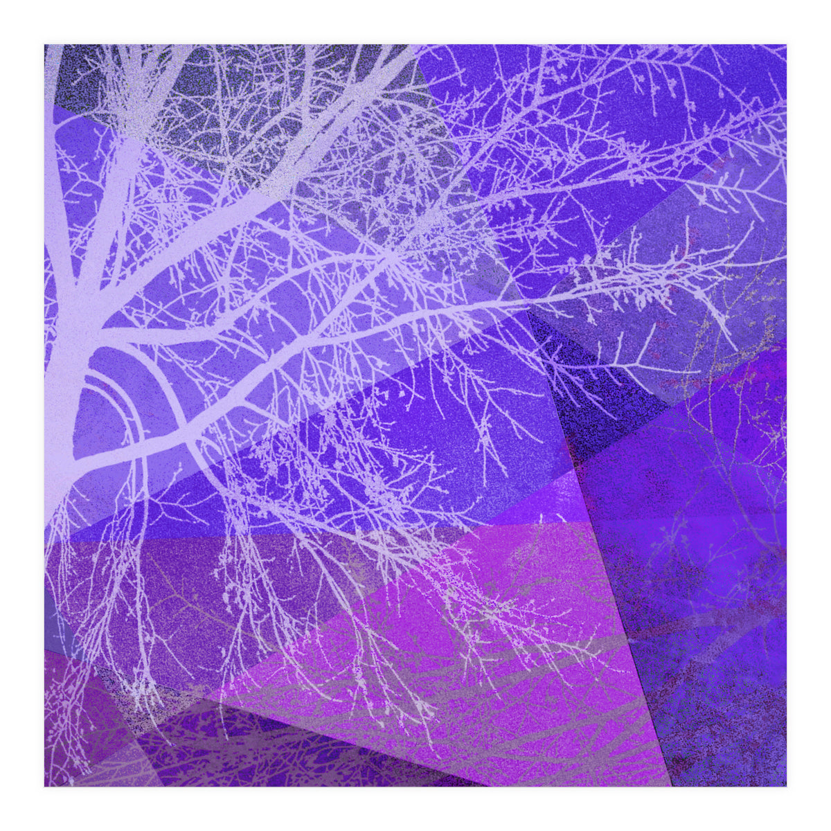 P19-D2 Trees and Triangles (Print Only)