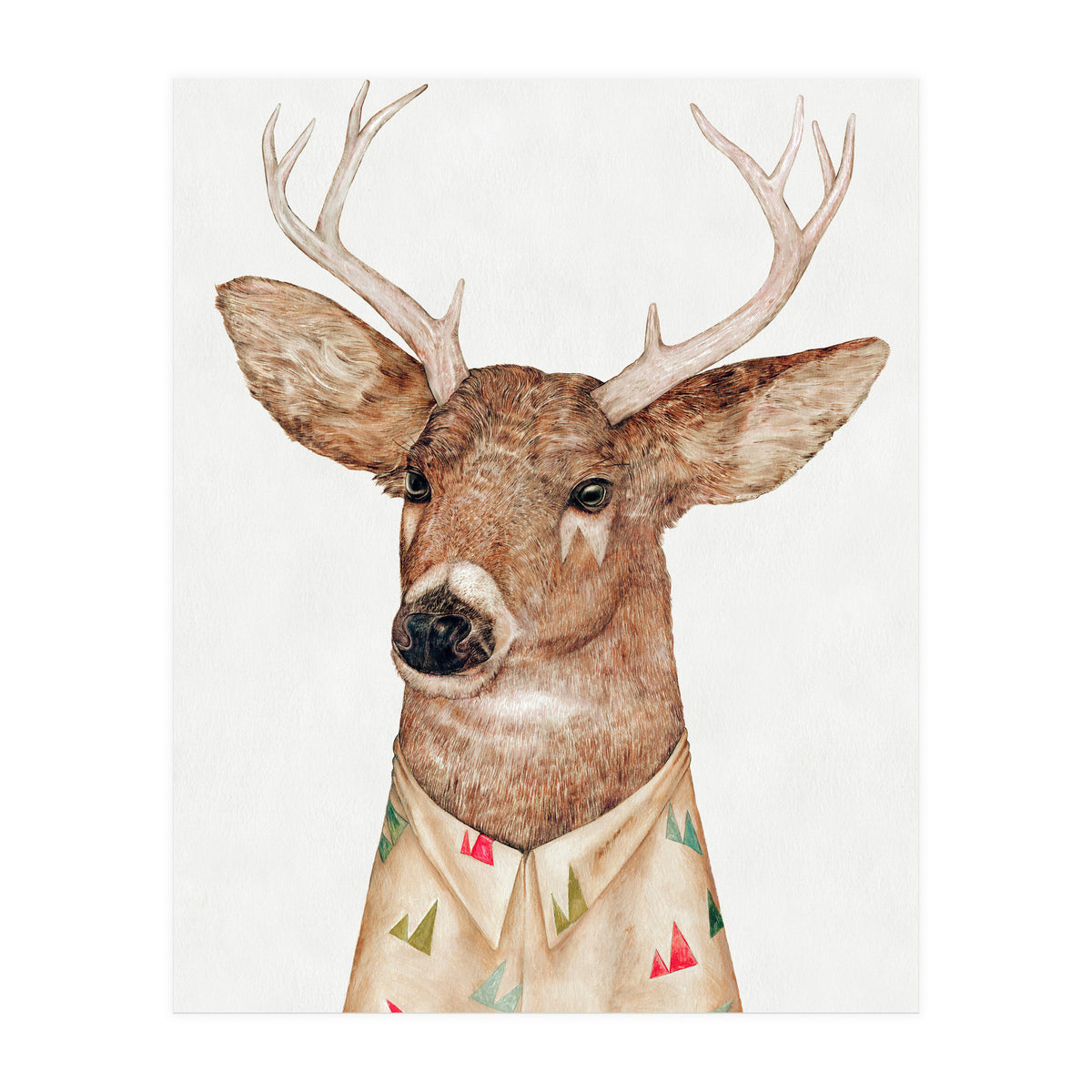 Whitetailed Deer (Print Only)
