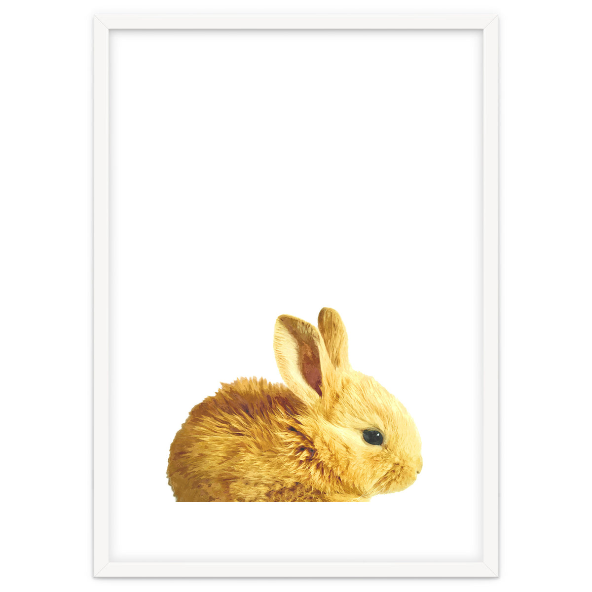 Bunny Portrait