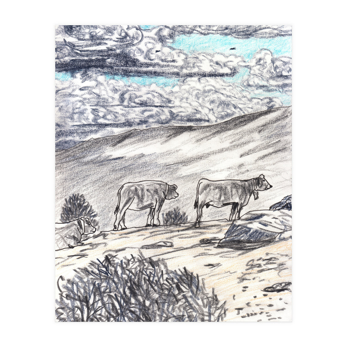 Clouds And Cattles (Print Only)