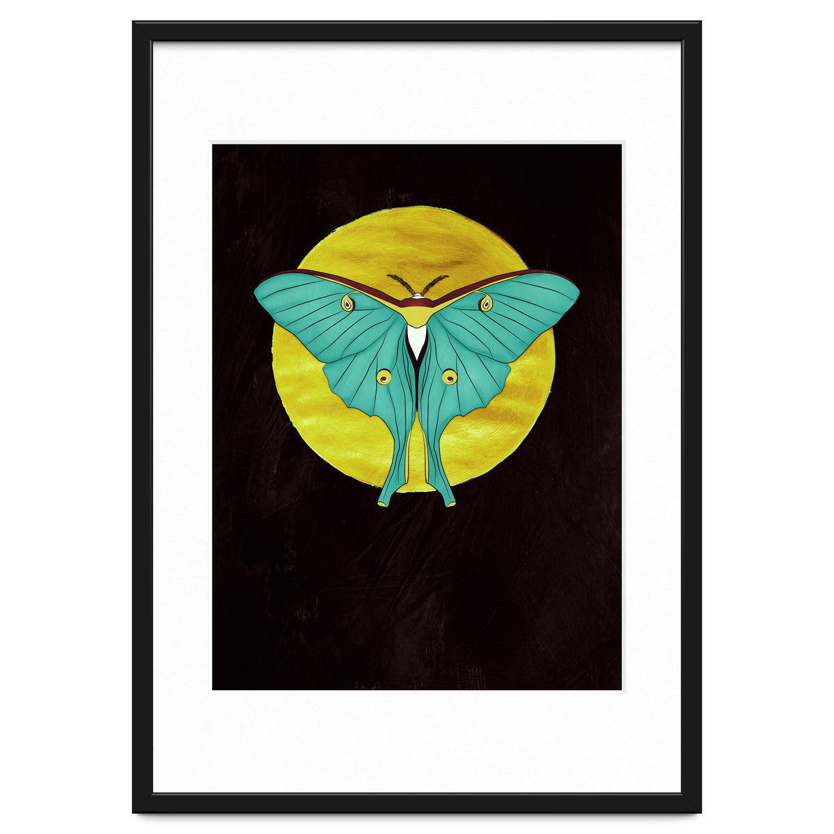 Luna Moth Moon
