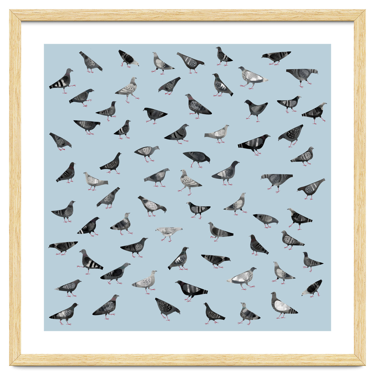 Pigeons Doing Pigeon Things