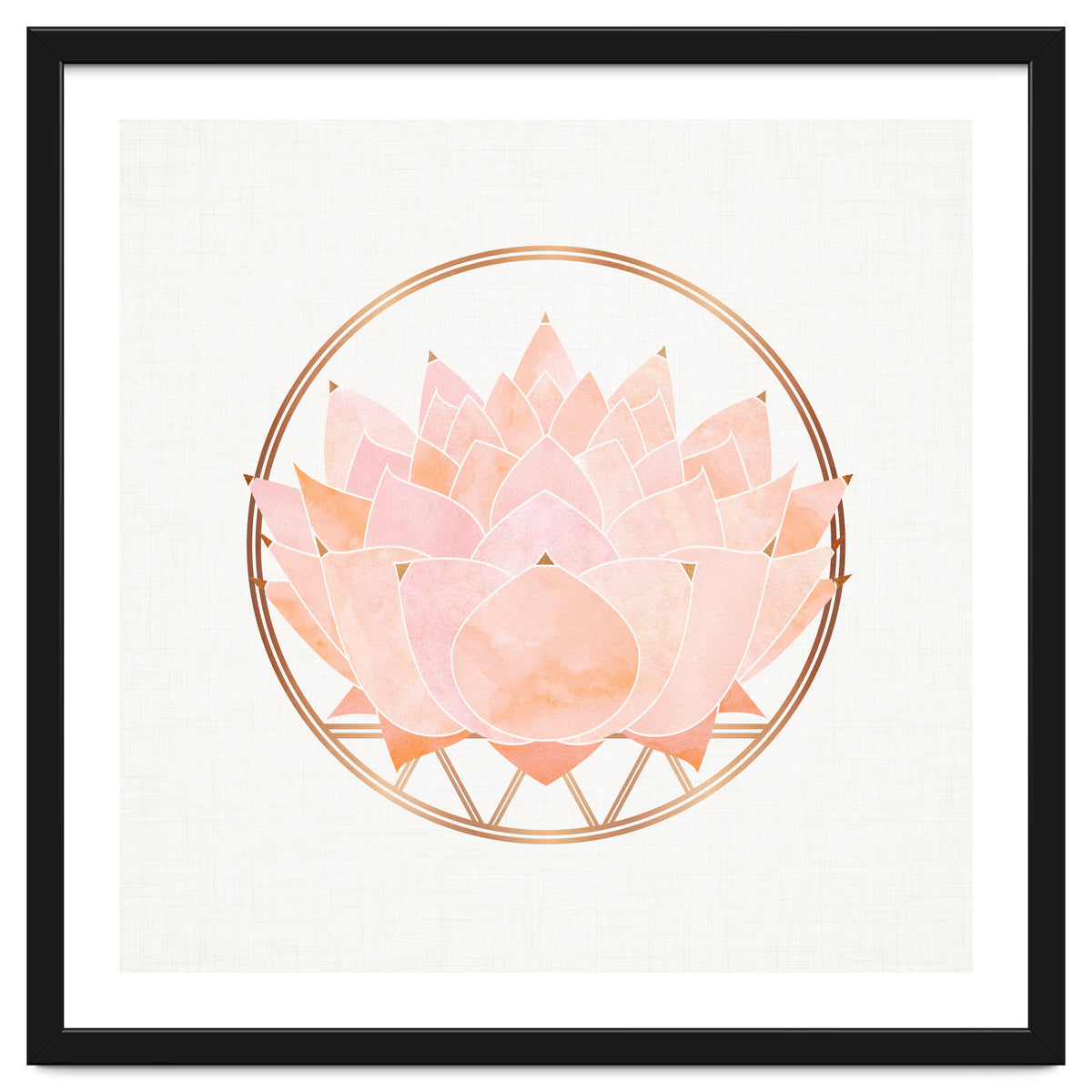 Peach Succulent  Blossom