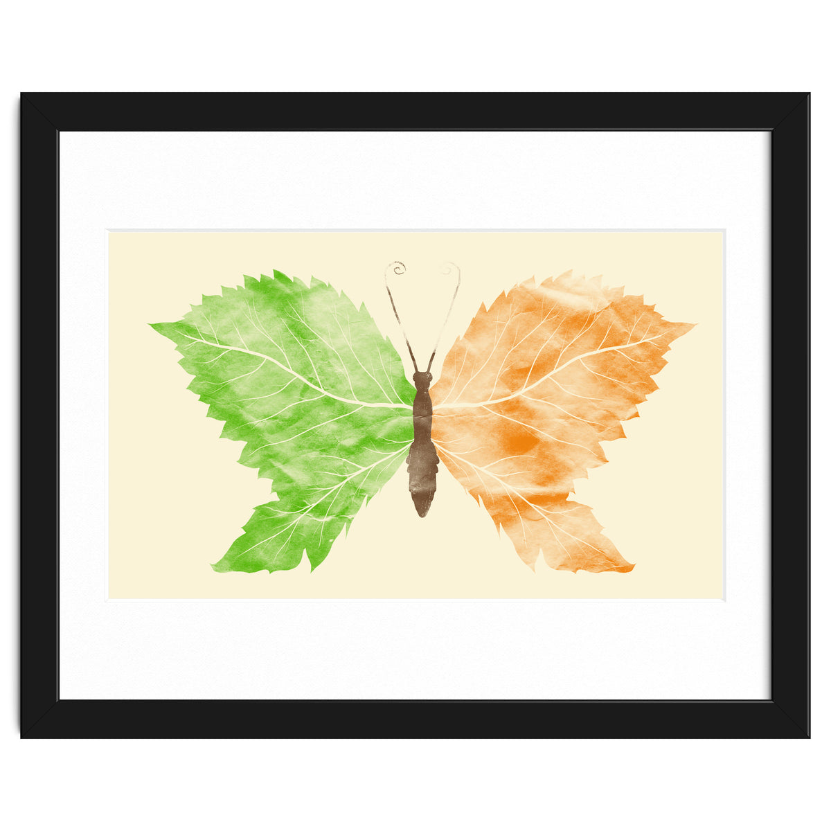 Seasons Change Time Flies