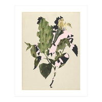 The First Plant · E3 (Print Only)