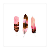 Blush Feathers (Print Only) thumbnail