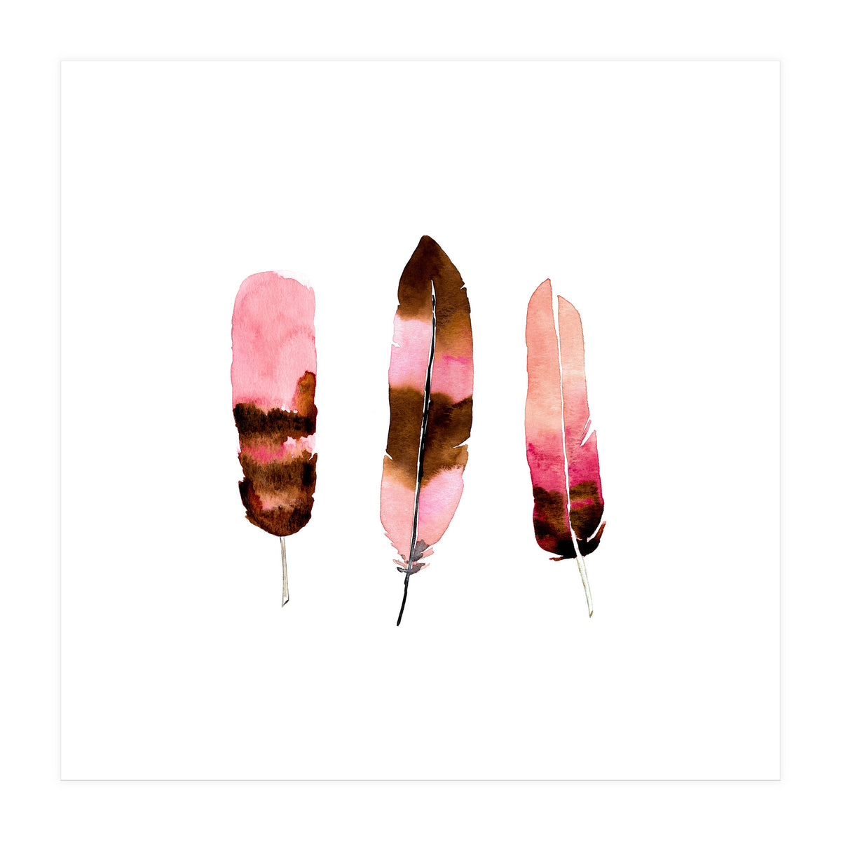 Blush Feathers (Print Only)