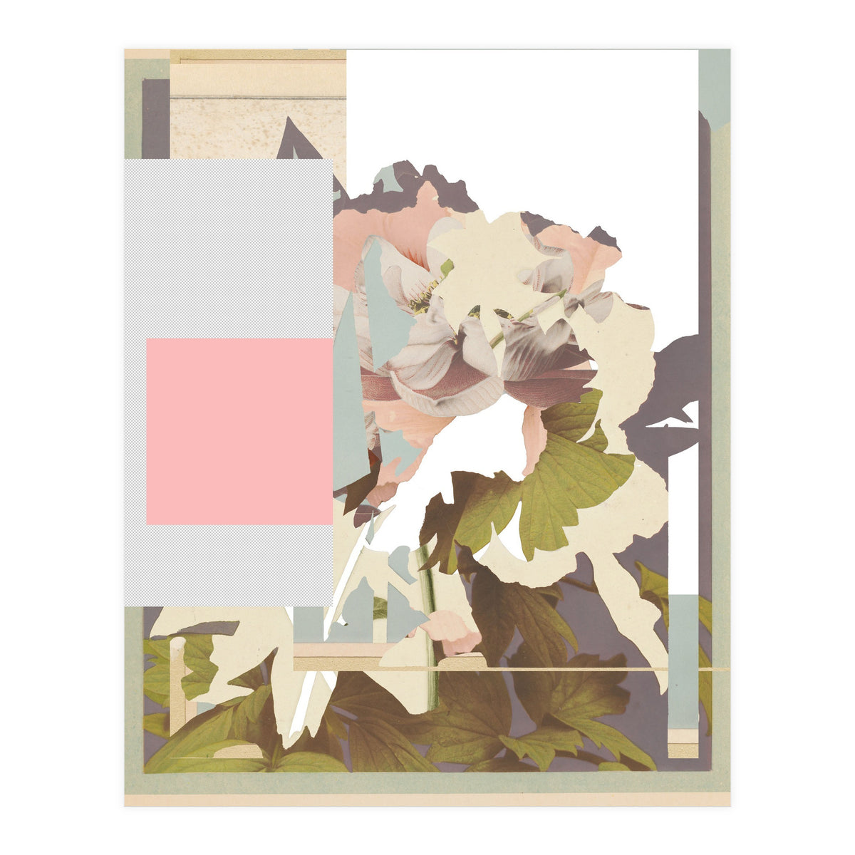 The First Plant · F (Print Only)