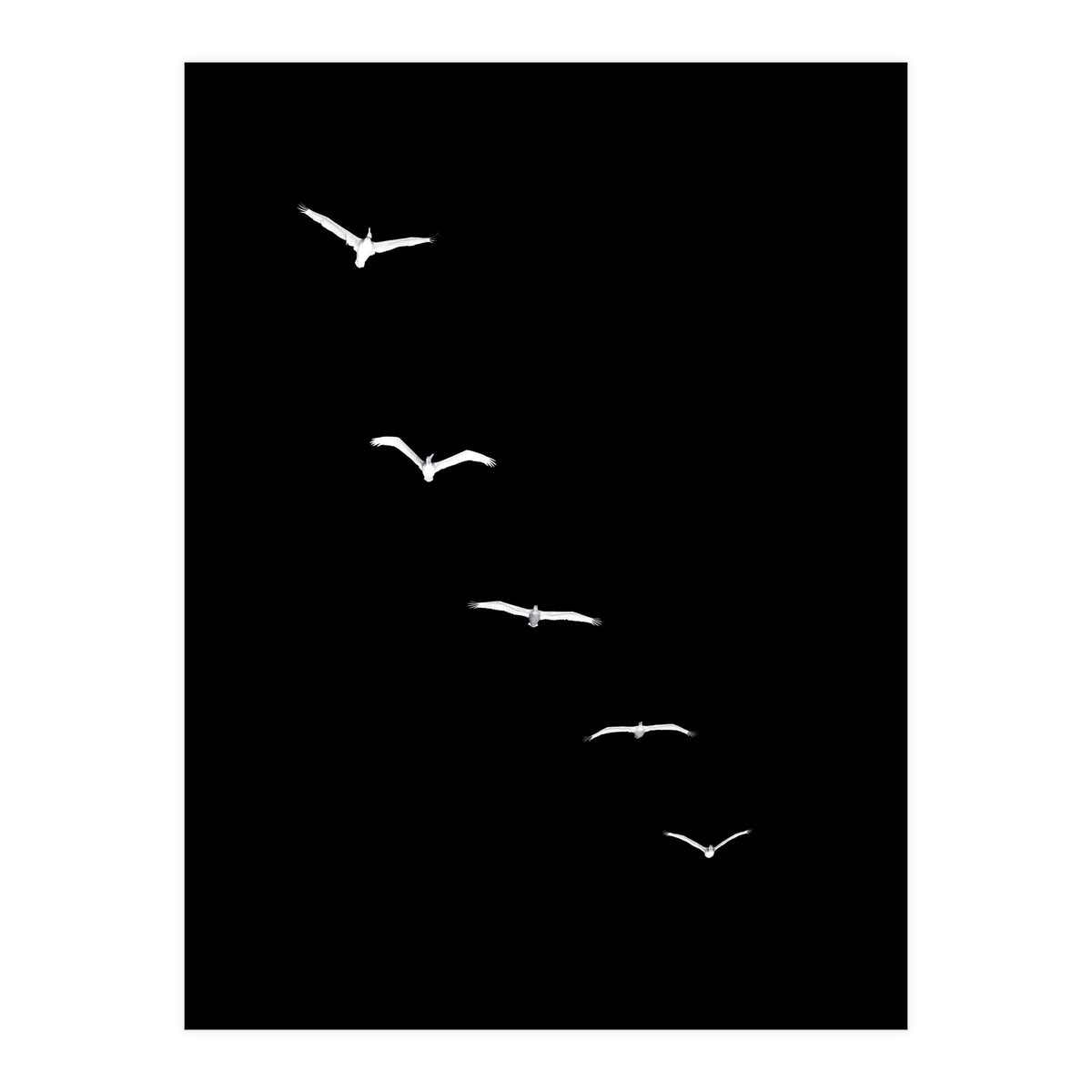 Heavenly Creatures Dark (Print Only)