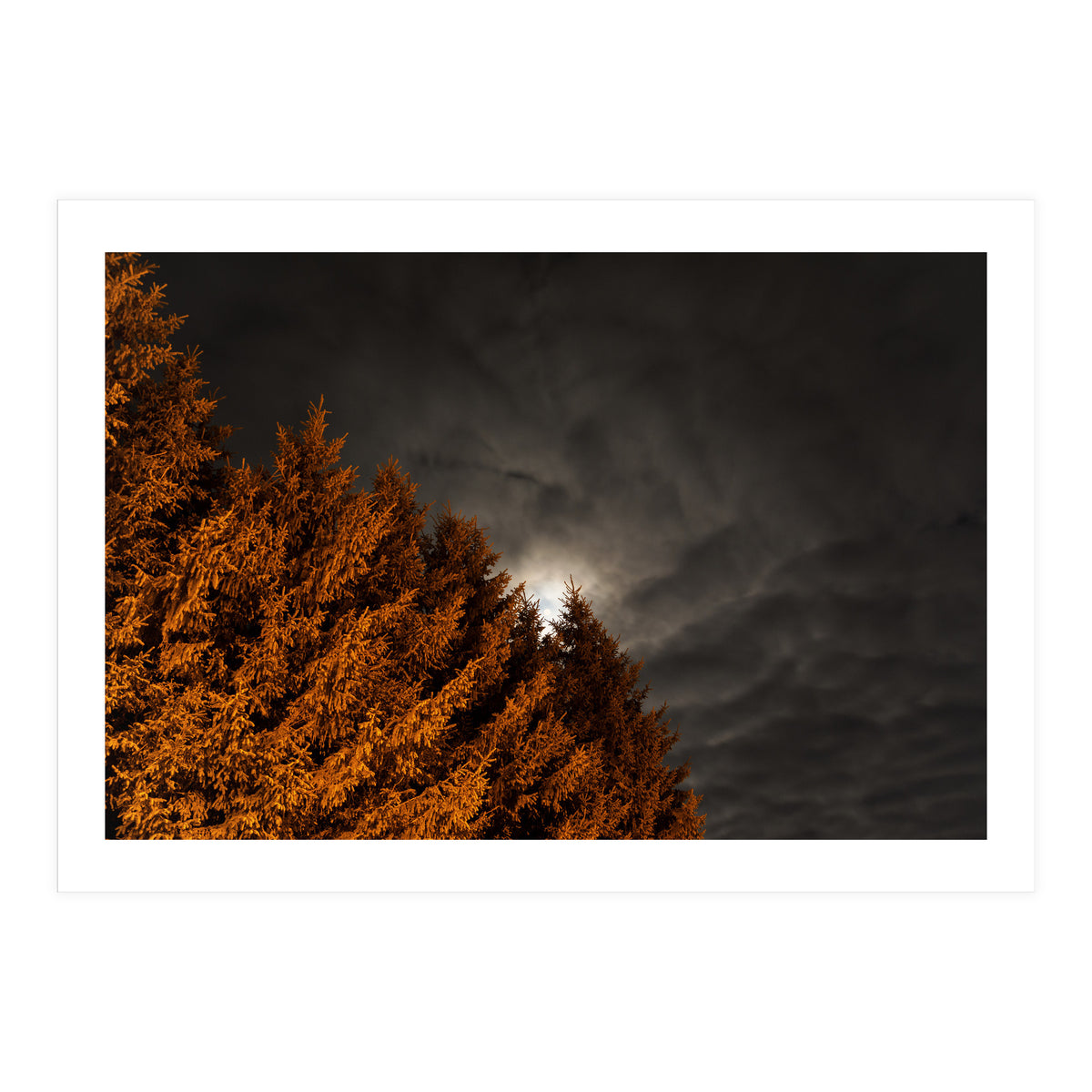 Howling (Print Only)