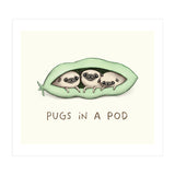 Pugs In A Pod (Print Only) thumbnail