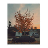 Autumn tree (Print Only) thumbnail