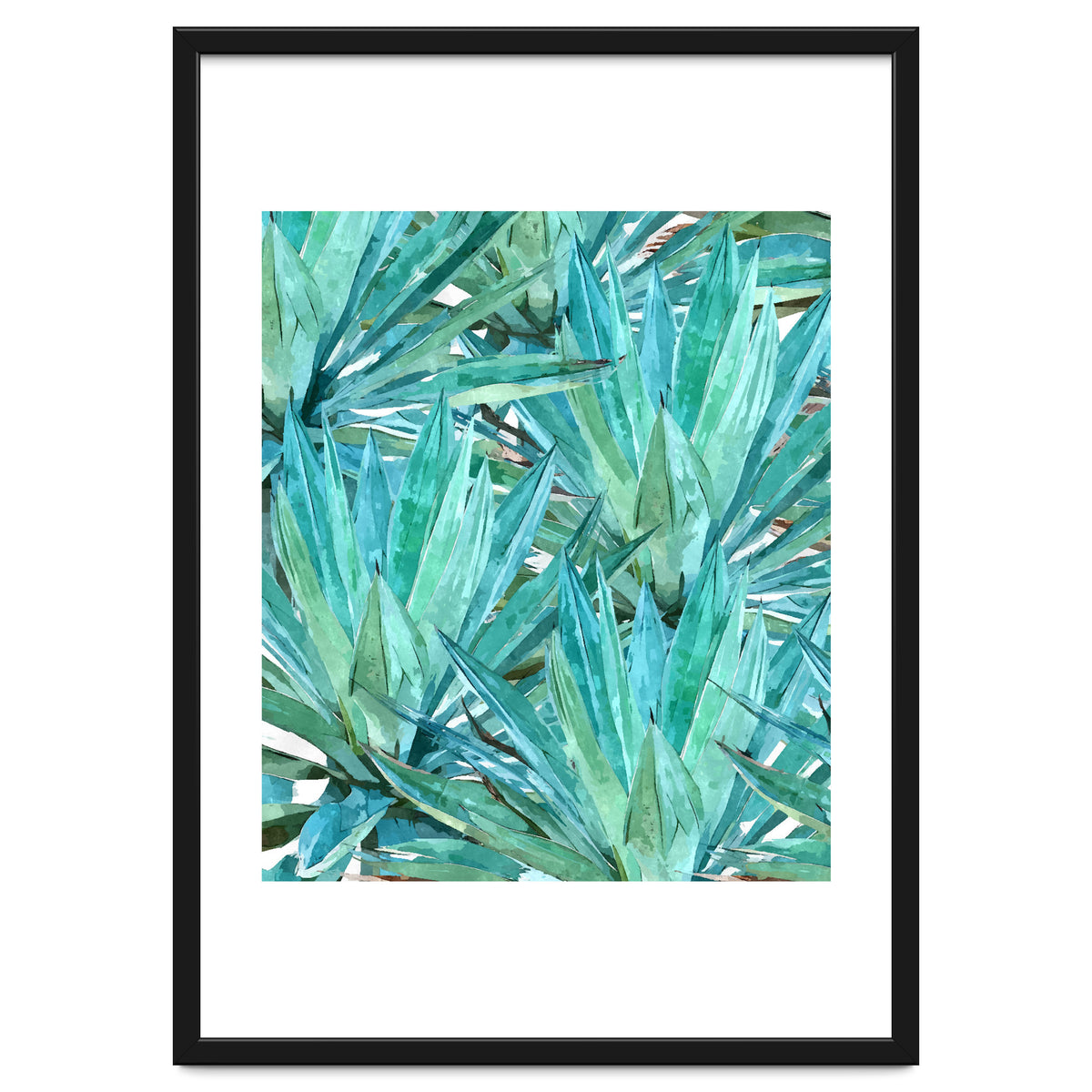 Agave