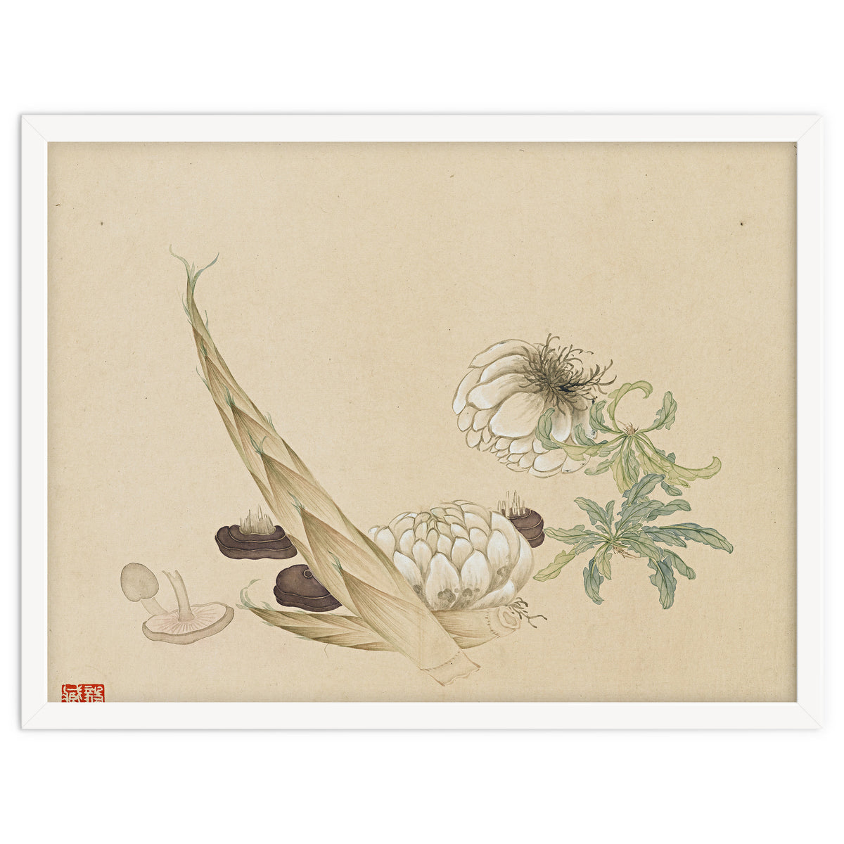 Wang Chengyu ~flowers, Vegetables, Lilies, Bamboo Shoots, Leaves, Mushrooms, Vegetables