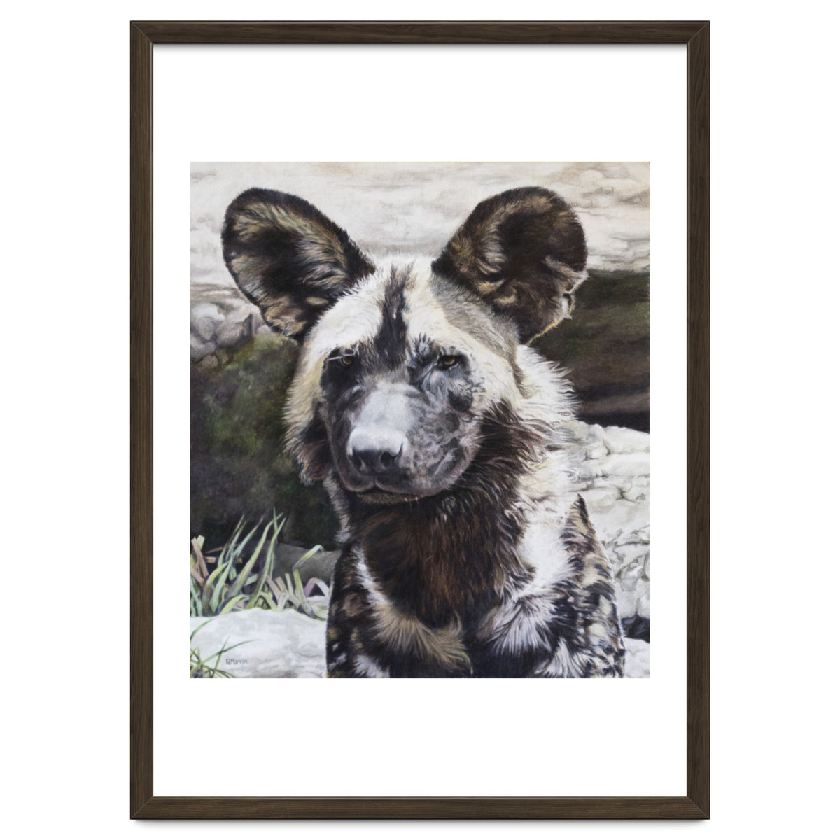 African Painted Dog II