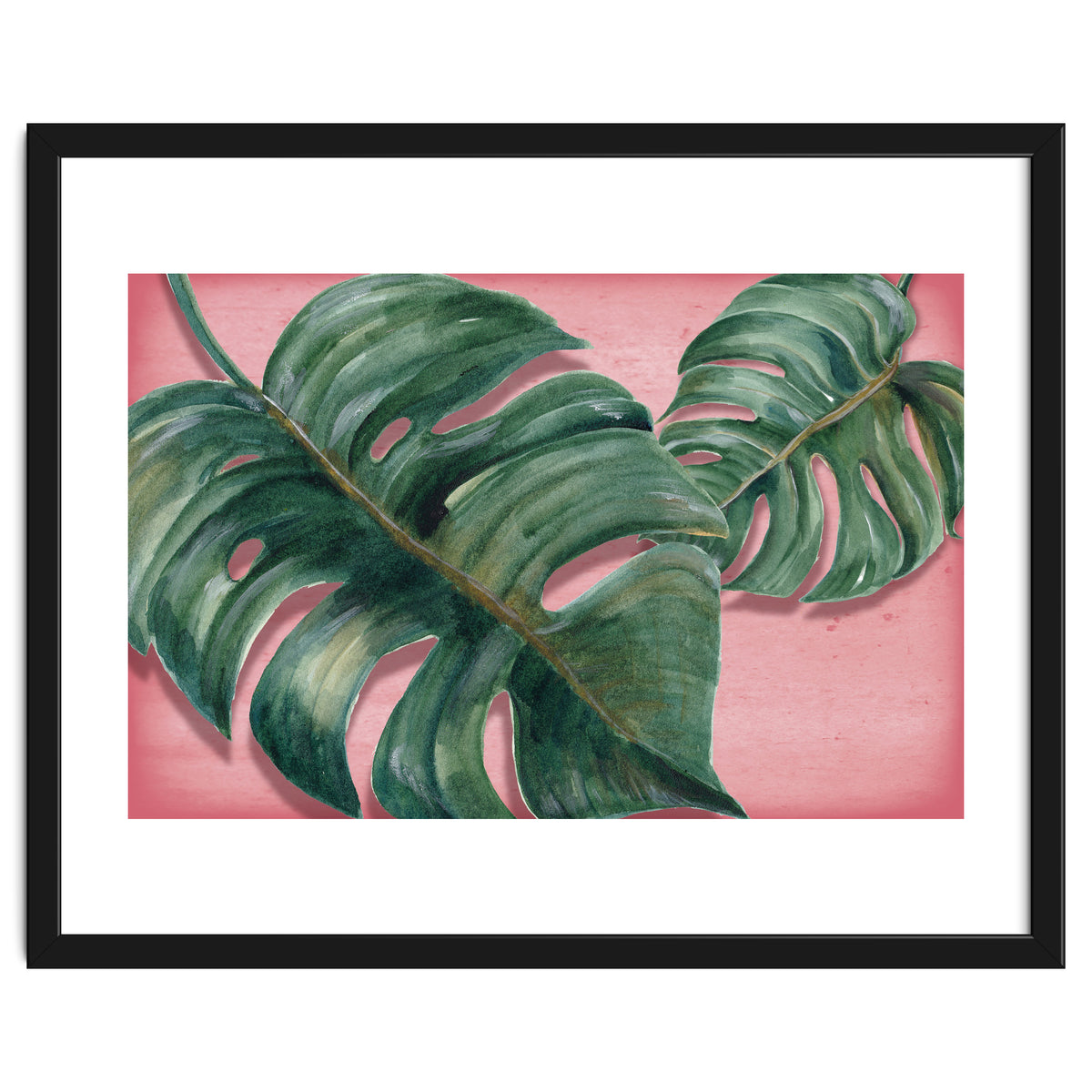 Monstera Leaf