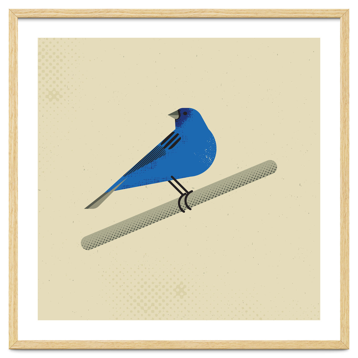Indigo Bunting