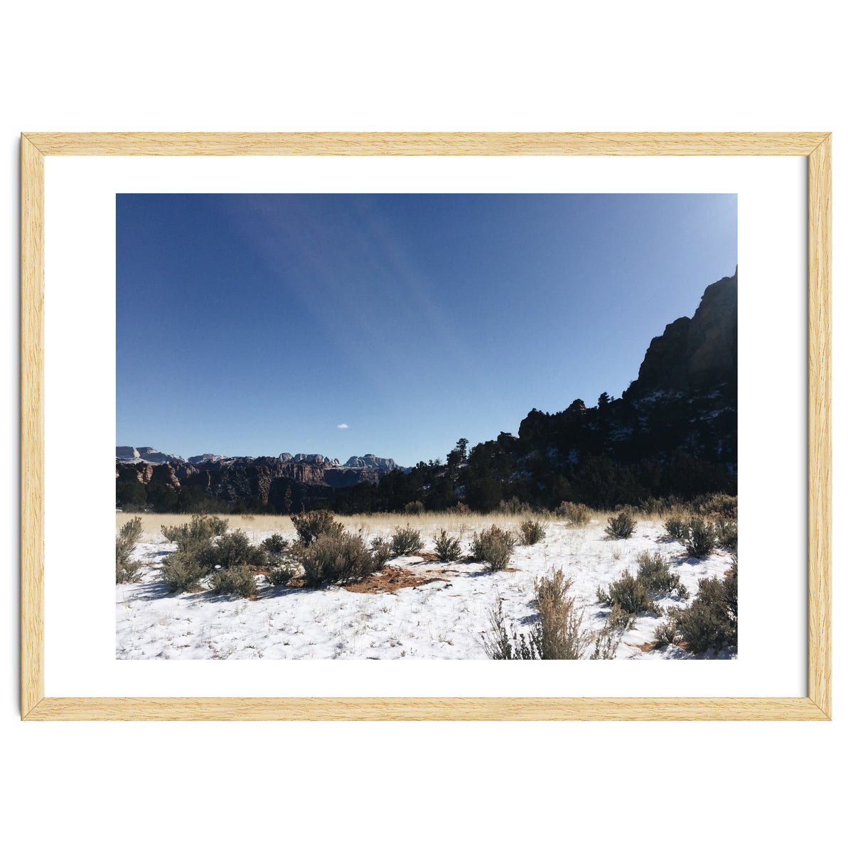 Zion National Park II