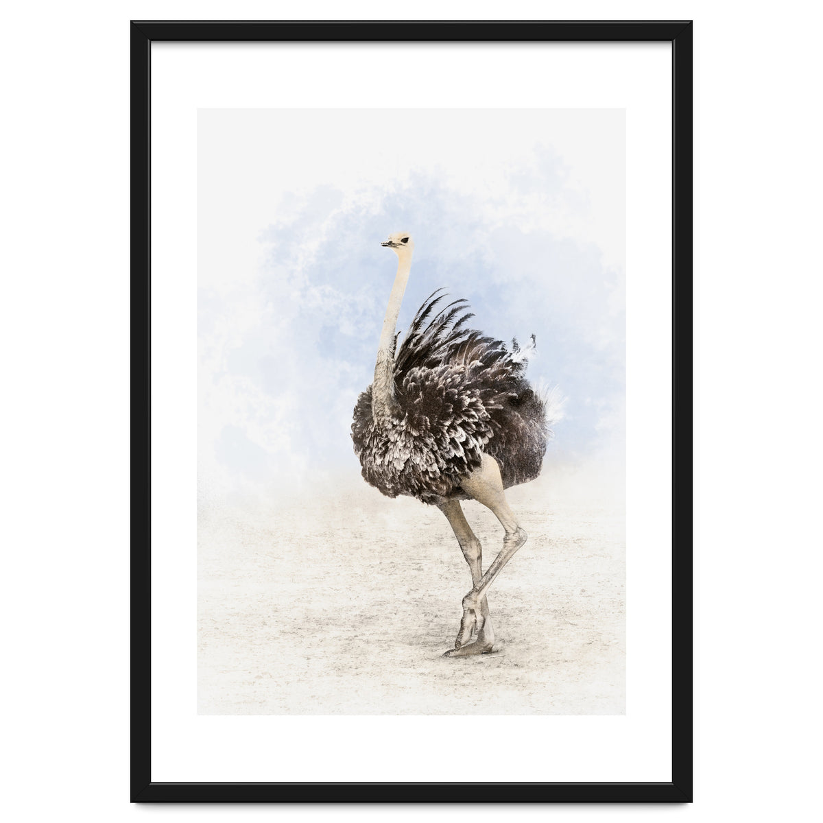 Ostrich