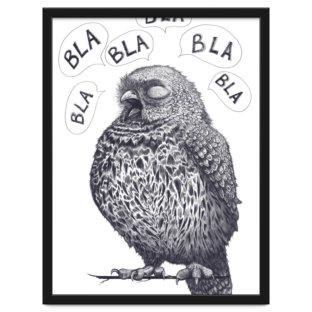 Owl Bla Bla Bla
