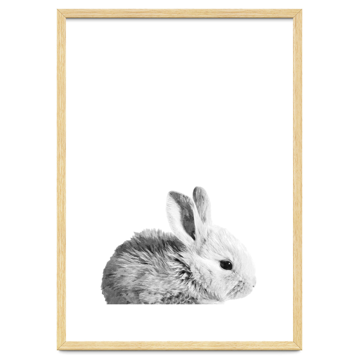 Black and White Bunny Portrait