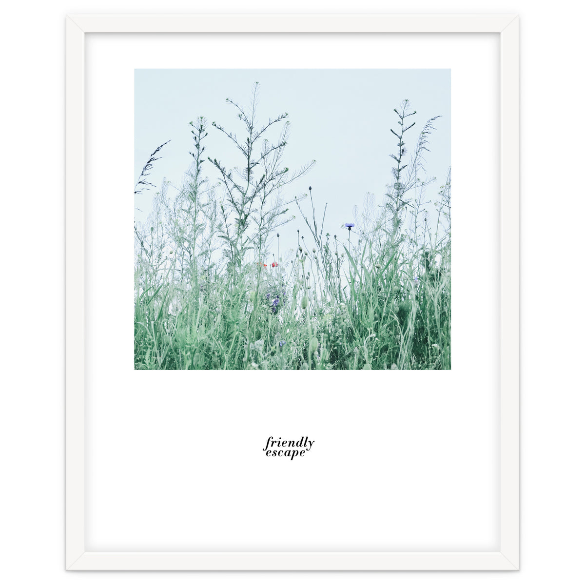 Friendly escape - Nature Photography -