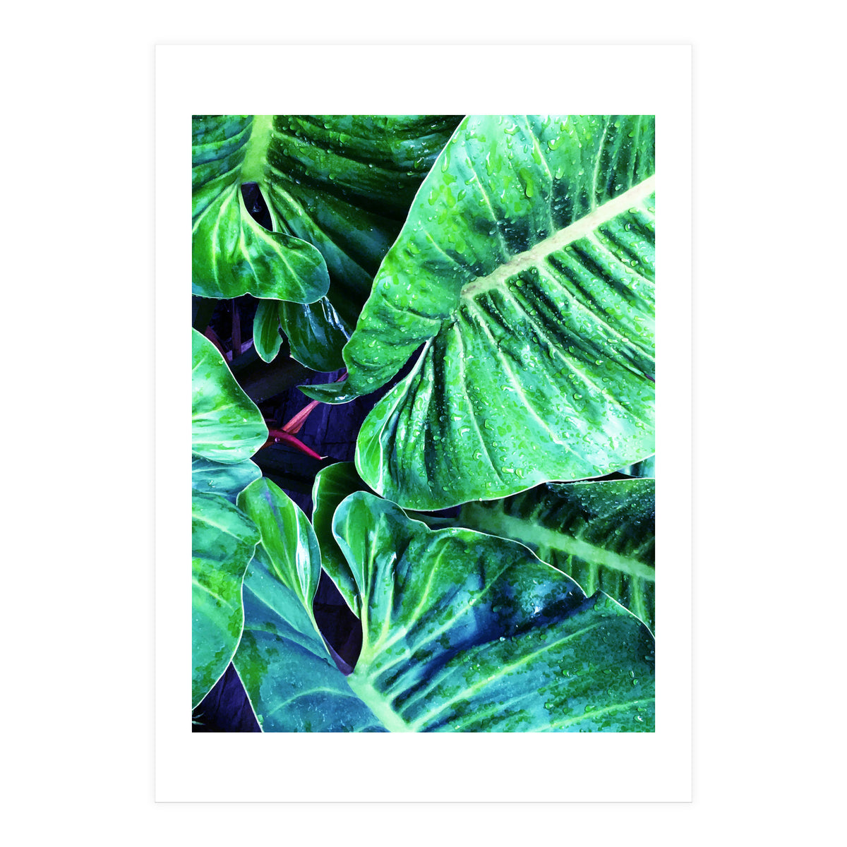 Another Botanical (Print Only)