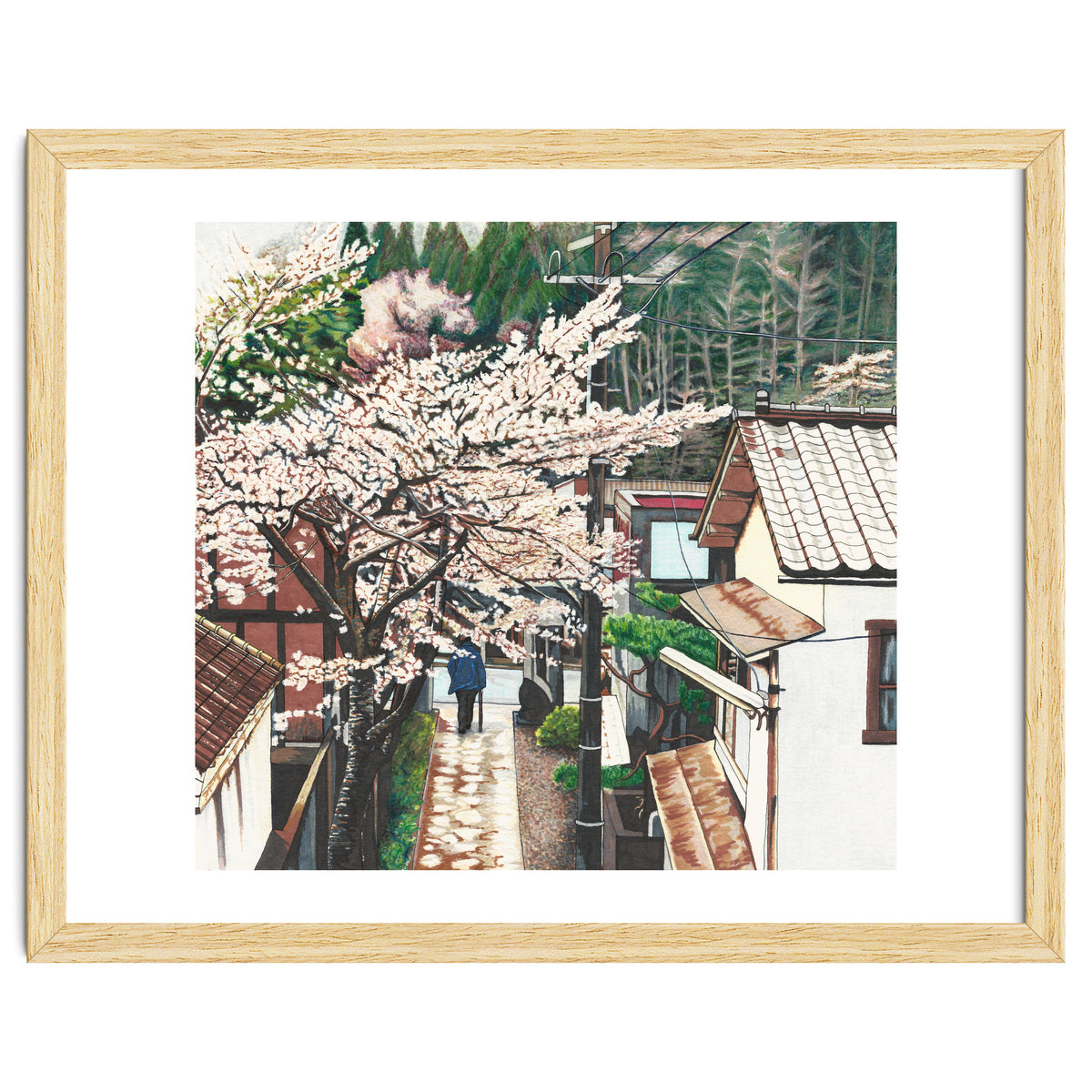 Passing by Cherry Blossoms