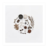 Treasures From Nature No. 2 - Square (Print Only) thumbnail