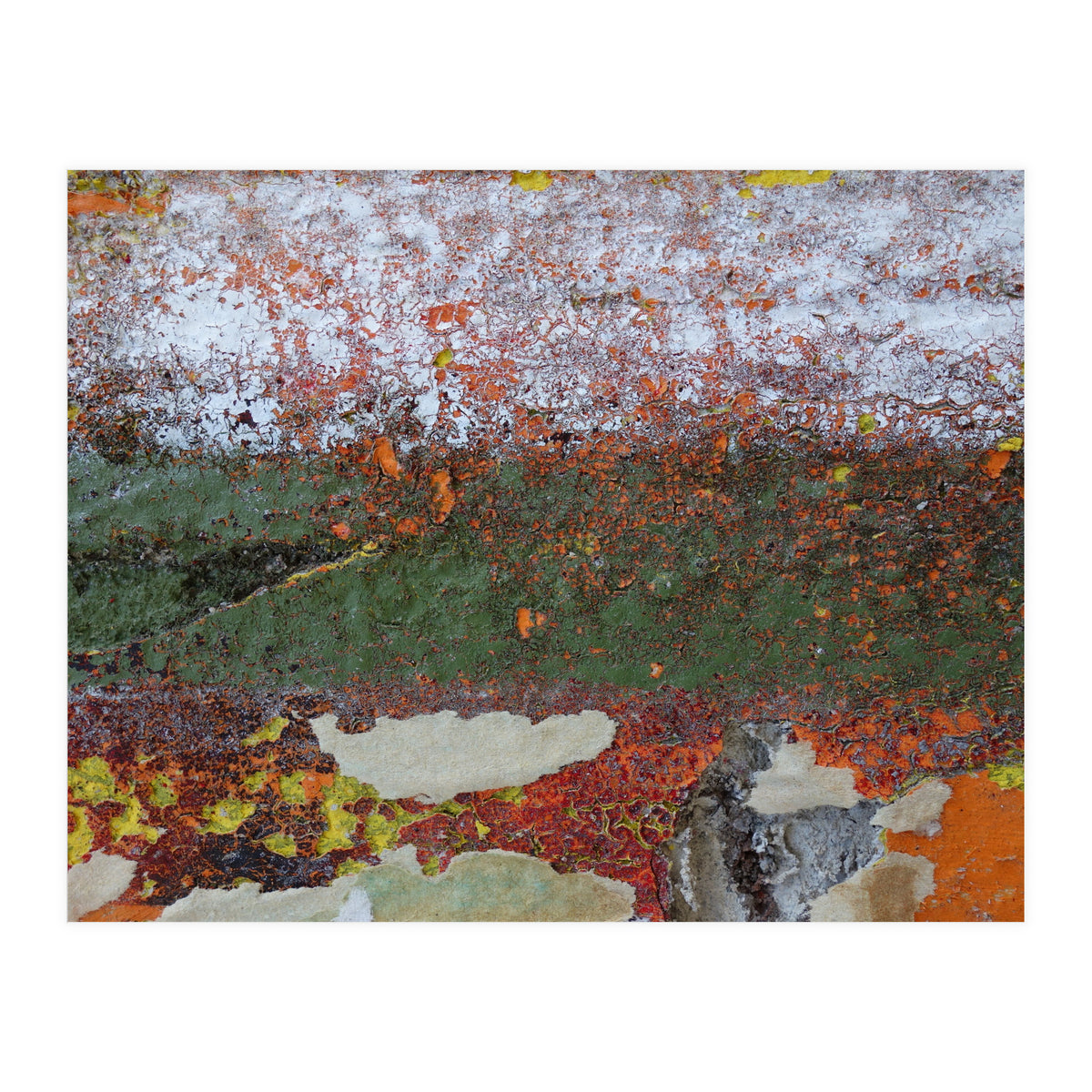 North South (Print Only)