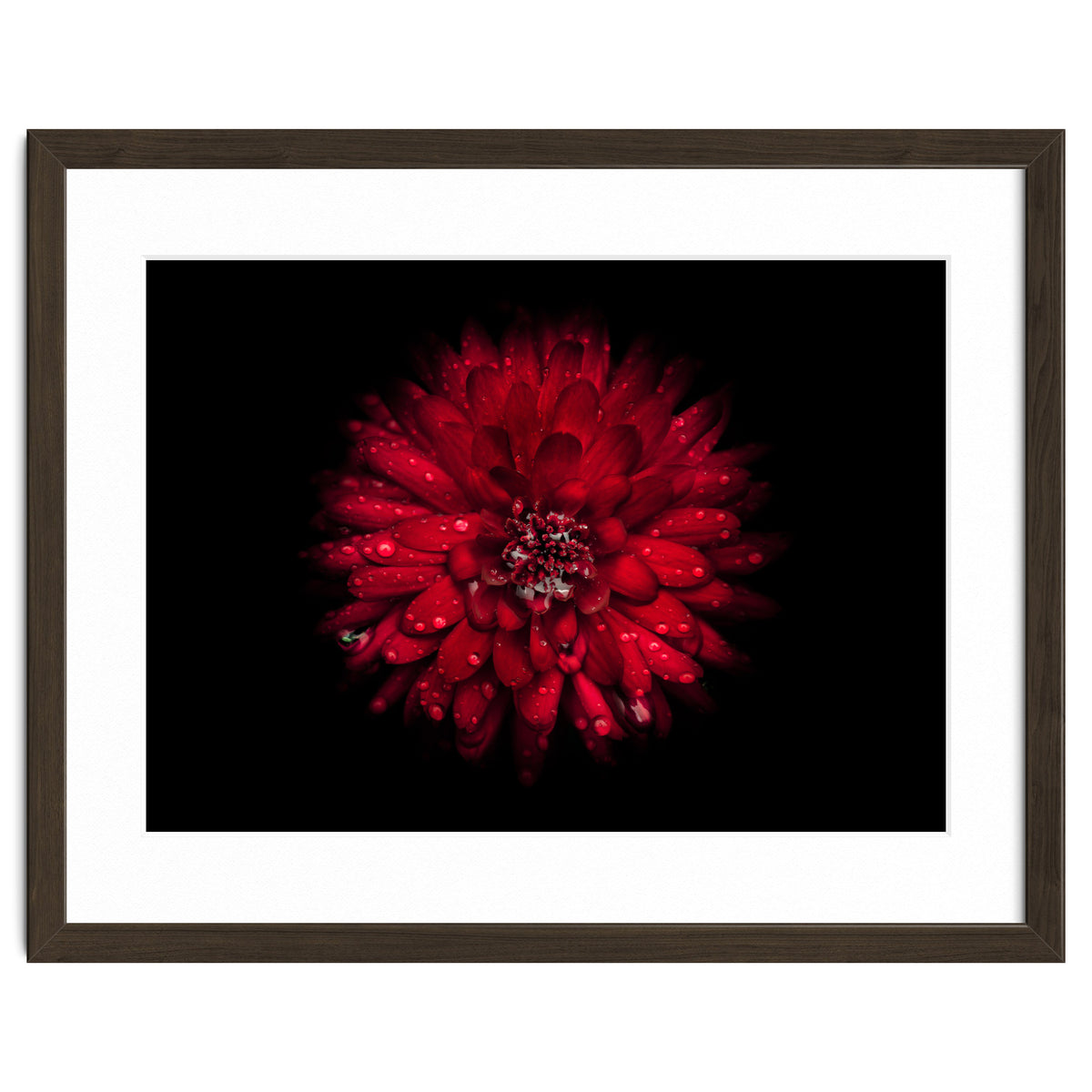 Backyard Flowers 45 Color Version