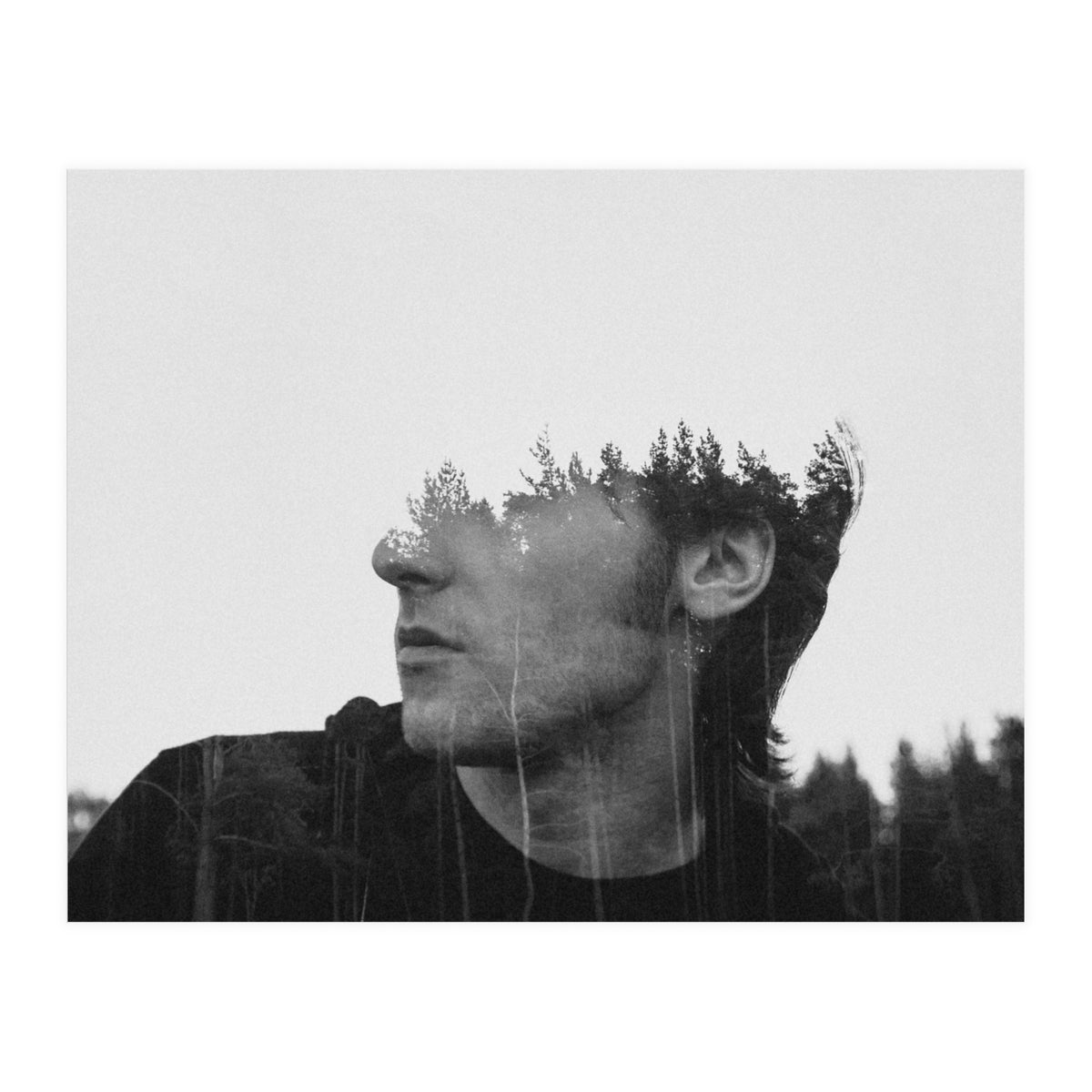 Environmentalist (Print Only)