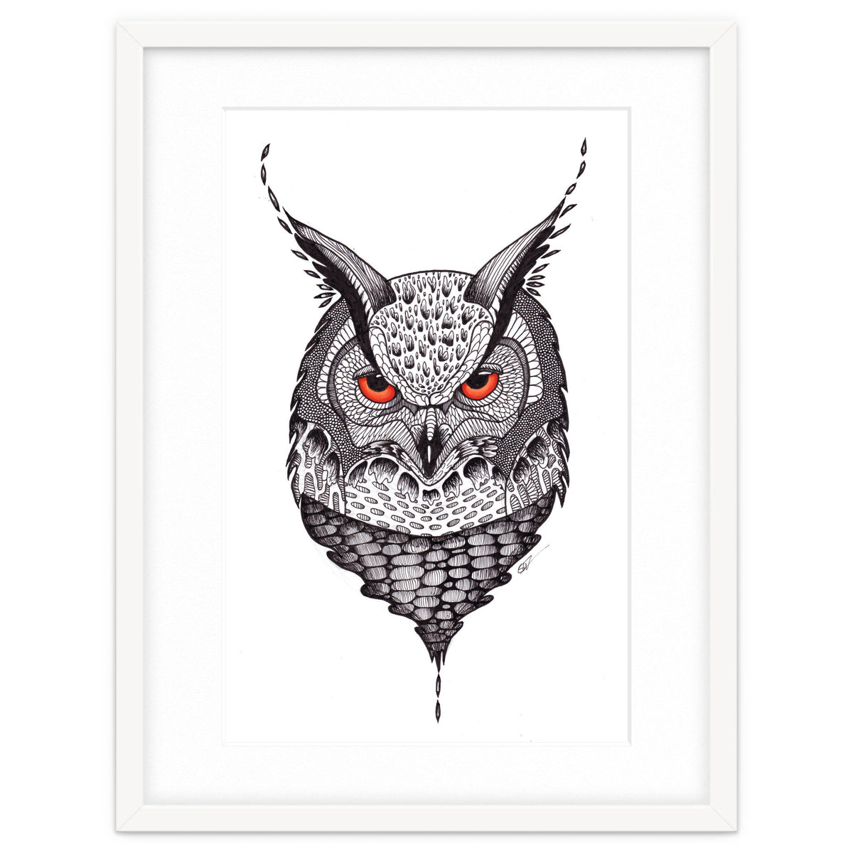 Owl