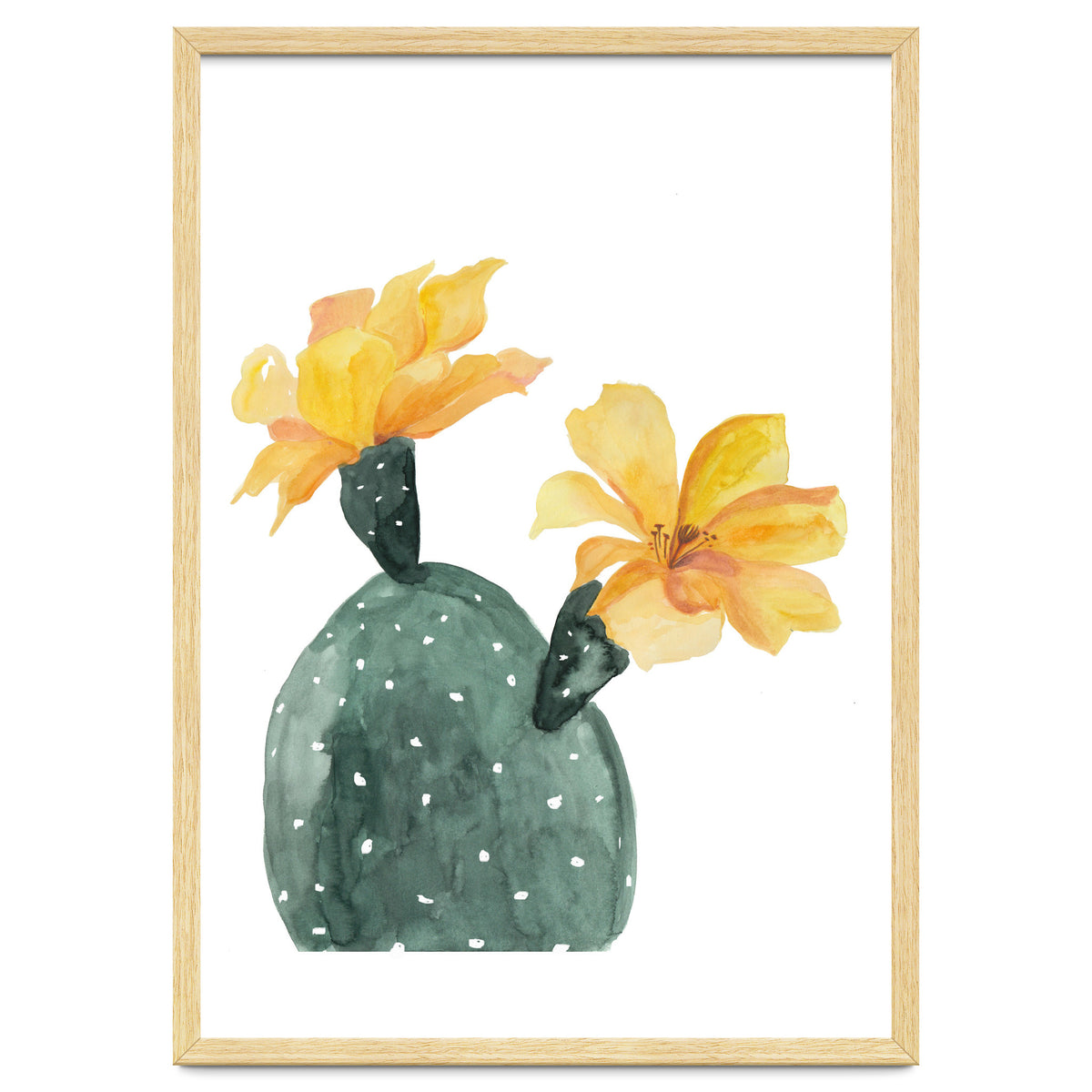 Botanical Illustration Yellow Cactus Flowers