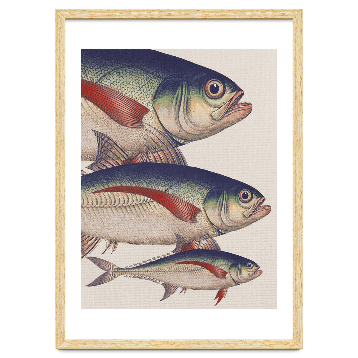 Fish Classic Designs 5