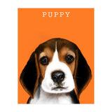 Puppy (Print Only) thumbnail