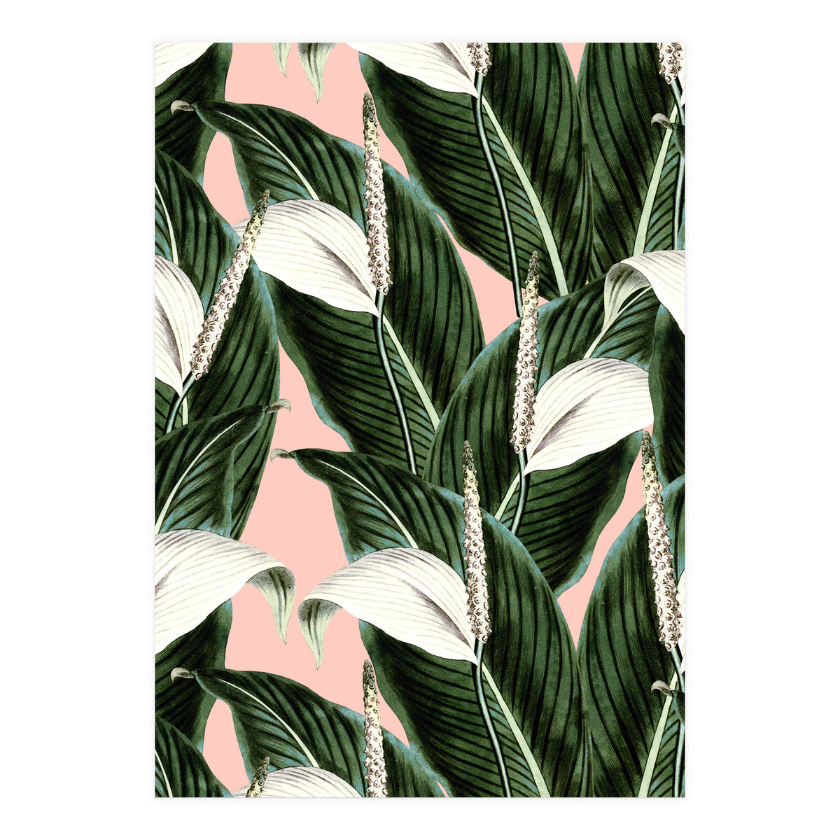 Sweet floral Pothos (Print Only)