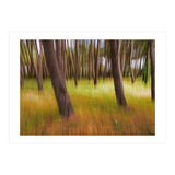 Amongst The Trees (Print Only) thumbnail