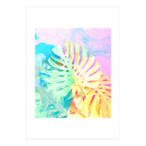 Umami (Print Only) thumbnail